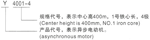 西安泰富西玛Y系列(H355-1000)高压锦山镇三相异步电机型号说明