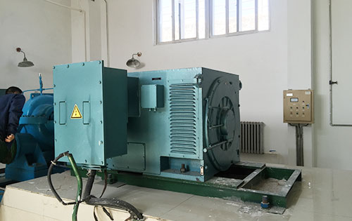 锦山镇某水电站工程主水泵使用我公司高压电机